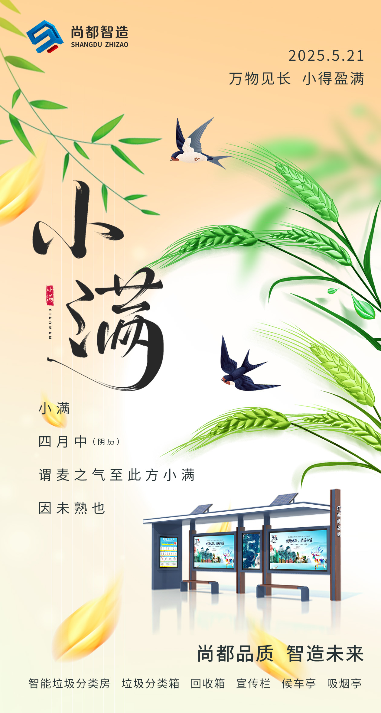 小满 .jpg